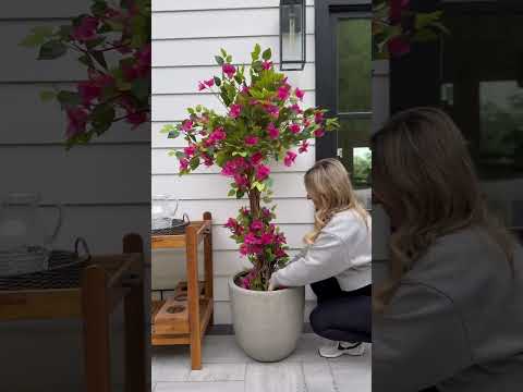 The Method To Hold Cut Flowers Contemporary And Alive Longer The Old Farmer's Almanac